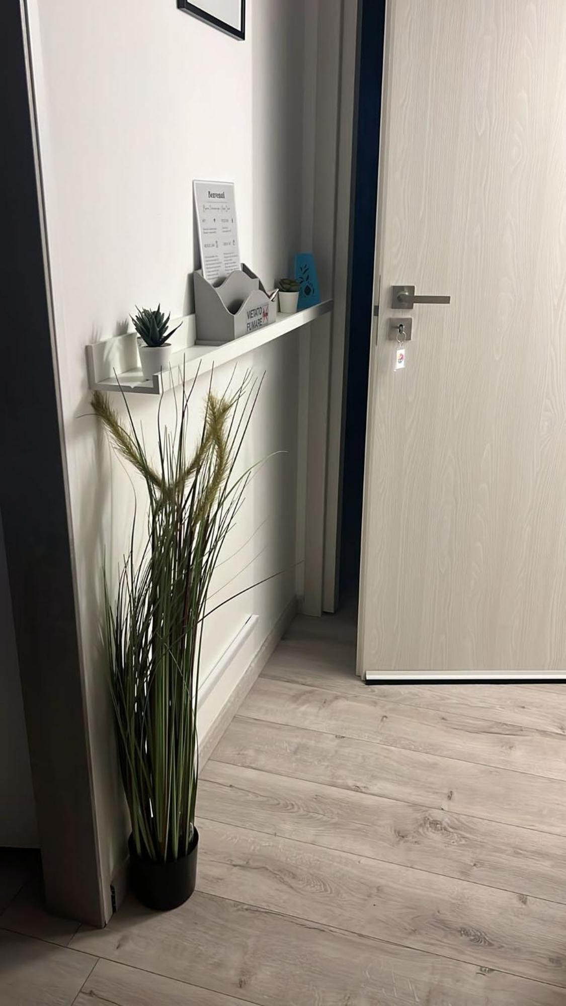 Carpe Diem Adult Only Apartment Rom